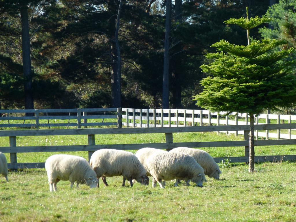 Hadleigh Boutique Lodge Tamahere Luaran gambar